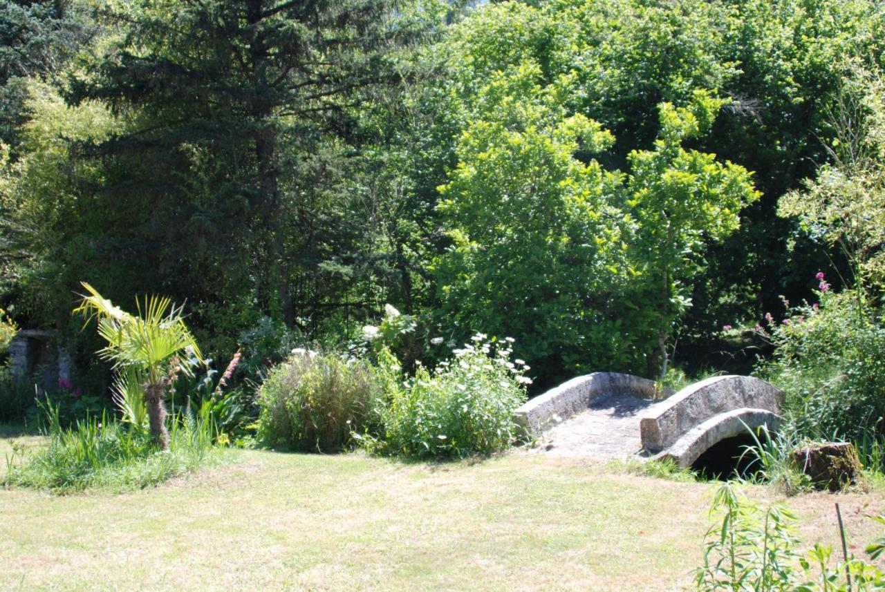 Bed and Breakfast La Petite Marguerite Chitenay Екстер'єр фото